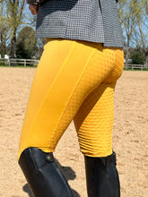 Load image into Gallery viewer, Unlined Riding Tights - OLD GOLD