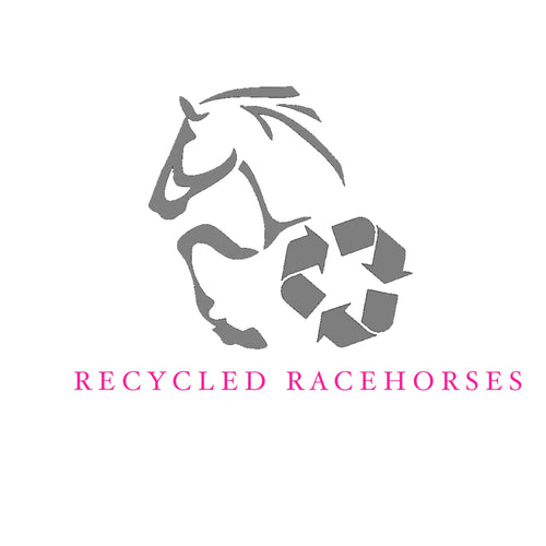 CHEVAUX DE COURSE RECYCLÉS